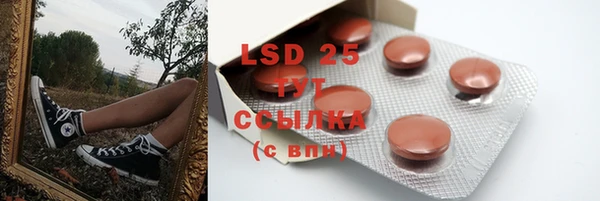 PSILOCYBIN Вяземский