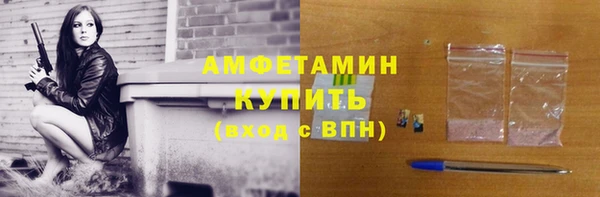 PSILOCYBIN Вяземский