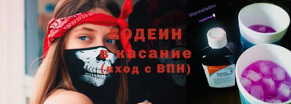 PSILOCYBIN Вяземский