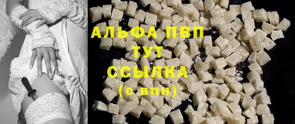 PSILOCYBIN Вяземский