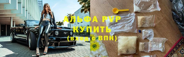 PSILOCYBIN Вяземский