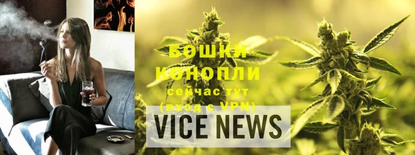 PSILOCYBIN Вяземский